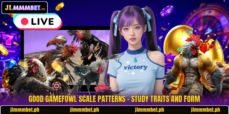 Good Gamefowl Scale Patterns - Study Traits And Form 5 Good Gamefowl Scale Patterns - Study Traits And Form